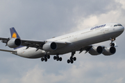 Lufthansa Airbus A340-642 (D-AIHL) at  Miami - International, United States