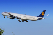 Lufthansa Airbus A340-642 (D-AIHN) at  Sao Paulo - Guarulhos - Andre Franco Montoro (Cumbica), Brazil