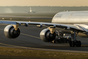 Lufthansa Airbus A340-642 (D-AIHO) at  Frankfurt am Main, Germany