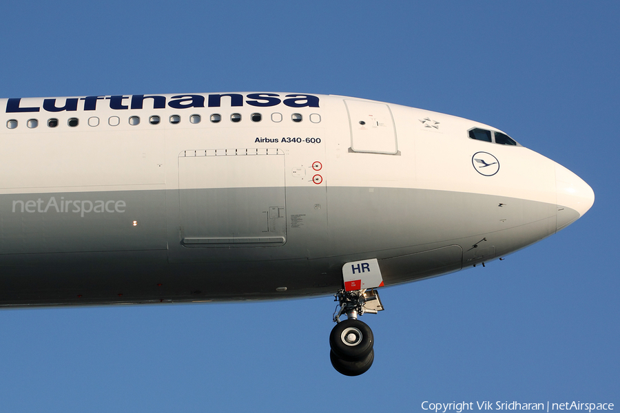Lufthansa Airbus A340-642 (D-AIHR) | Photo 7895