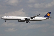 Lufthansa Airbus A340-642 (D-AIHS) at  Frankfurt am Main, Germany