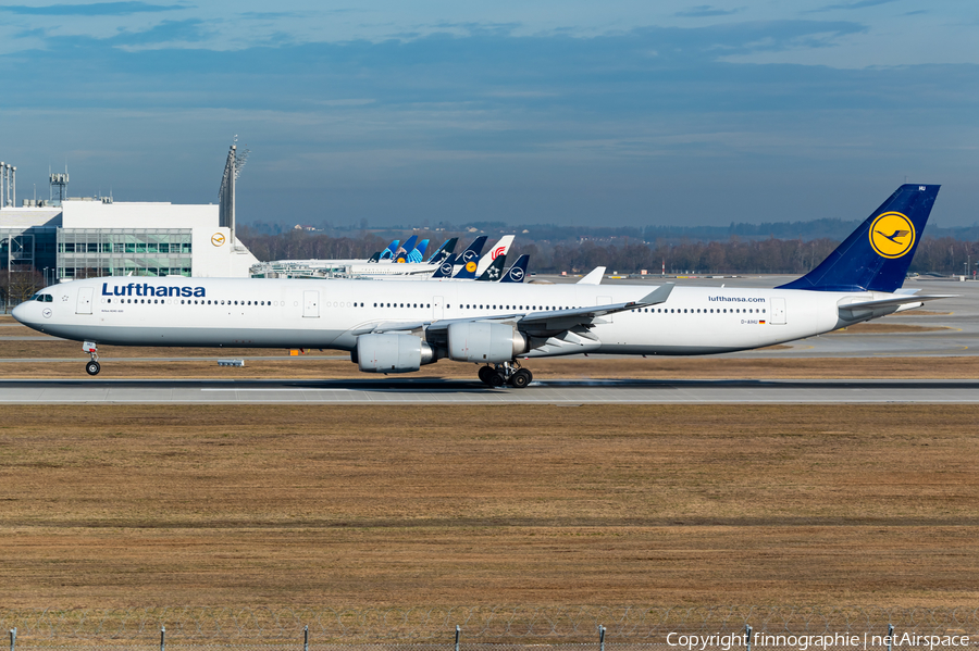 Lufthansa Airbus A340-642X (D-AIHU) | Photo 611918
