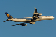 Lufthansa Airbus A340-642X (D-AIHW) at  Sao Paulo - Guarulhos - Andre Franco Montoro (Cumbica), Brazil