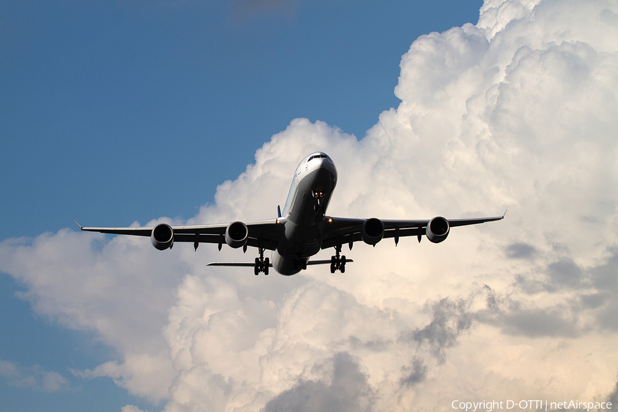 Lufthansa Airbus A340-642X (D-AIHZ) | Photo 386452