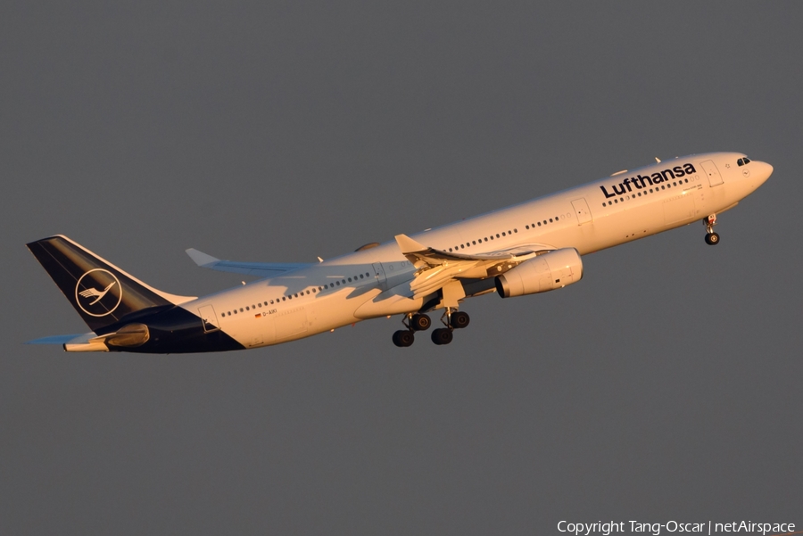 Lufthansa Airbus A330-343X (D-AIKI) | Photo 317869