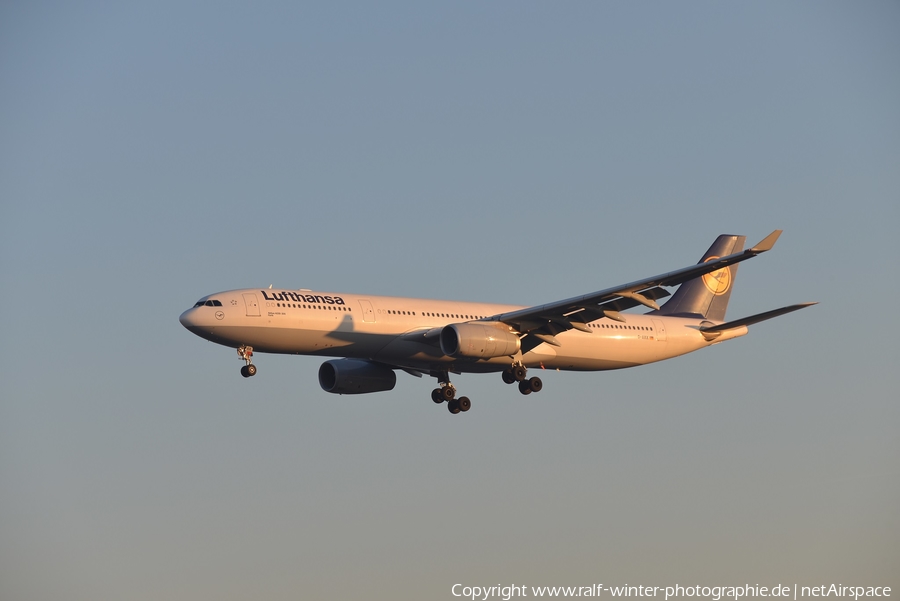 Lufthansa Airbus A330-343X (D-AIKK) | Photo 344344