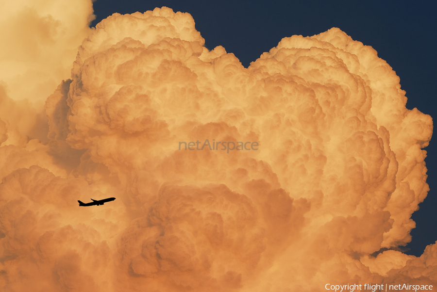 Lufthansa Airbus A330-343X (D-AIKM) | Photo 6730