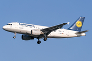 Lufthansa Airbus A319-114 (D-AILA) at  Amsterdam - Schiphol, Netherlands