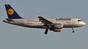 Lufthansa Airbus A319-114 (D-AILA) at  Dusseldorf - International, Germany