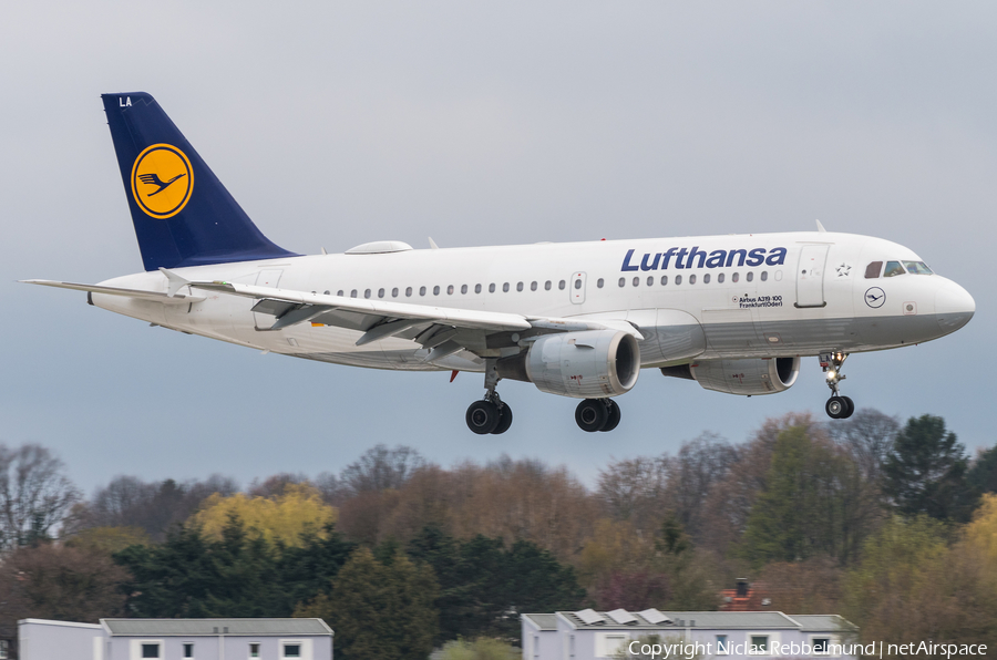 Lufthansa Airbus A319-114 (D-AILA) | Photo 311917