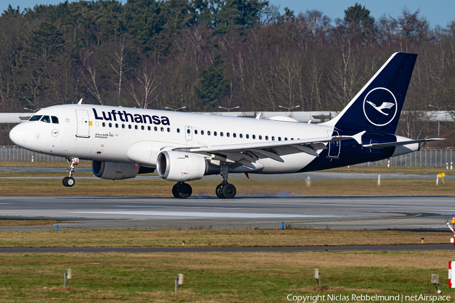 Lufthansa Airbus A319-114 (D-AILD) | Photo 491520