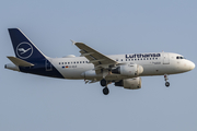 Lufthansa Airbus A319-114 (D-AILE) at  Frankfurt am Main, Germany