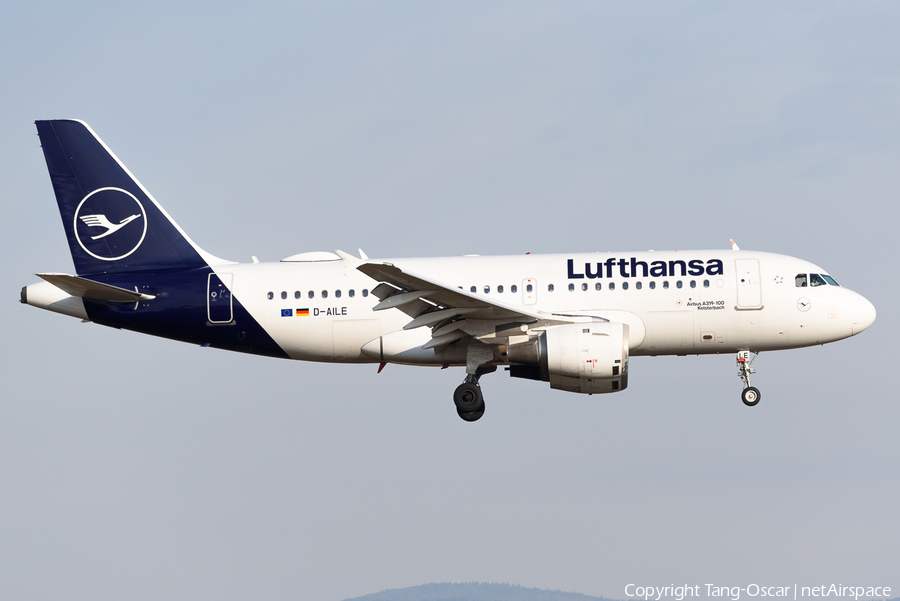 Lufthansa Airbus A319-114 (D-AILE) | Photo 509955