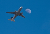 Lufthansa Airbus A319-114 (D-AILF) at  Frankfurt am Main, Germany