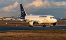 Lufthansa Airbus A319-114 (D-AILH) at  Frankfurt am Main, Germany