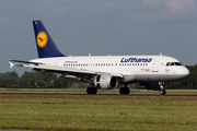 Lufthansa Airbus A319-114 (D-AILL) at  Amsterdam - Schiphol, Netherlands