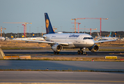 Lufthansa Airbus A319-114 (D-AILL) at  Frankfurt am Main, Germany
