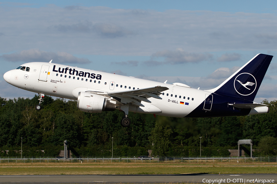 Lufthansa Airbus A319-114 (D-AILL) | Photo 456115