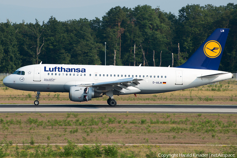 Lufthansa Airbus A319-114 (D-AILM) | Photo 293443