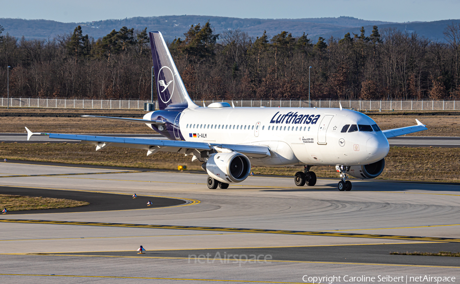 Lufthansa Airbus A319-114 (D-AILM) | Photo 373415