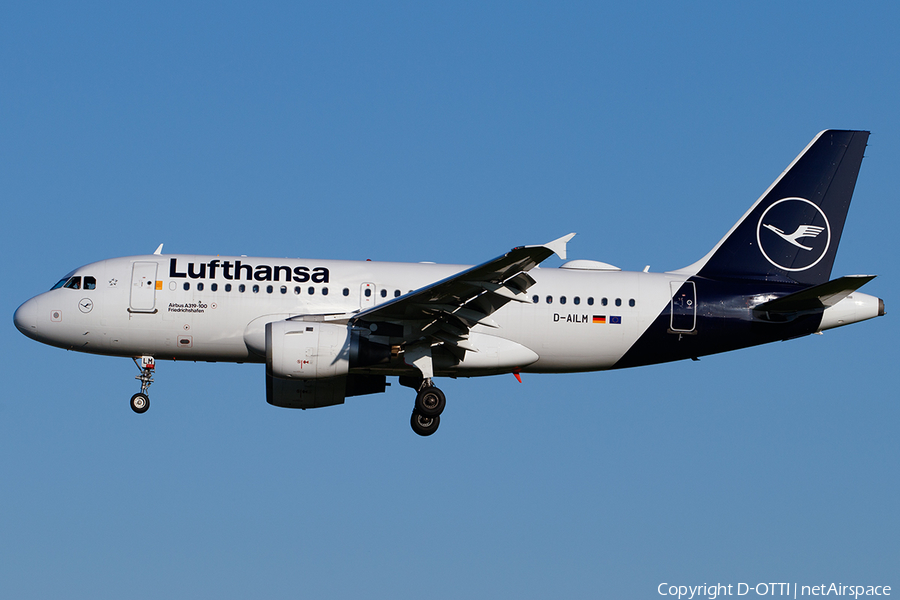 Lufthansa Airbus A319-114 (D-AILM) | Photo 450411