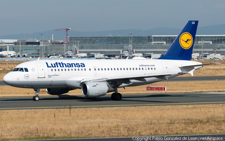 Lufthansa Airbus A319-114 (D-AILS) | Photo 337075