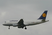 Lufthansa Airbus A319-114 (D-AILS) at  Frankfurt am Main, Germany