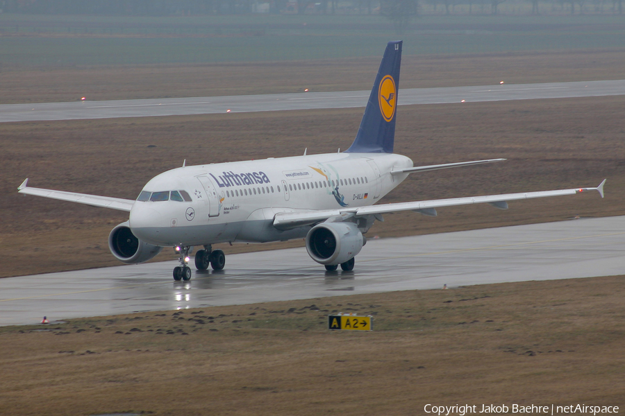 Lufthansa Airbus A319-114 (D-AILU) | Photo 146554