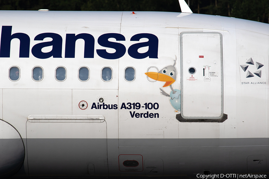 Lufthansa Airbus A319-114 (D-AILU) | Photo 246164