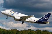 Lufthansa Airbus A319-114 (D-AILU) at  Hamburg - Fuhlsbuettel (Helmut Schmidt), Germany