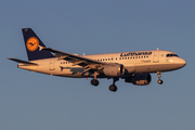 Lufthansa Airbus A319-114 (D-AILY) at  Dusseldorf - International, Germany