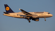 Lufthansa Airbus A319-114 (D-AILY) at  Dusseldorf - International, Germany