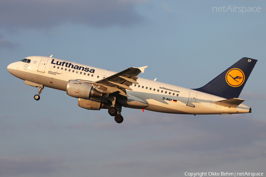 Lufthansa Airbus A319-114 (D-AILY) | Photo 52358