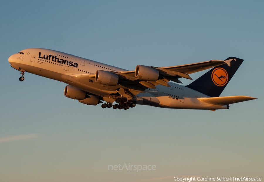 Lufthansa Airbus A380-841 (D-AIMB) | Photo 106188