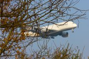 Lufthansa Airbus A380-841 (D-AIMC) at  Frankfurt am Main, Germany