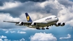 Lufthansa Airbus A380-841 (D-AIMD) at  Miami - International, United States
