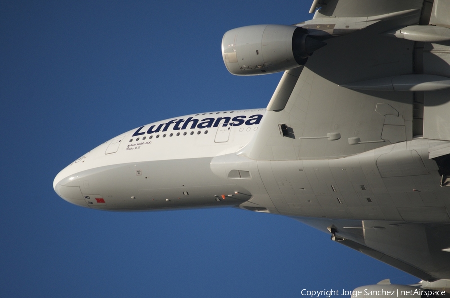 Lufthansa Airbus A380-841 (D-AIMD) | Photo 13636