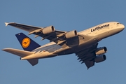 Lufthansa Airbus A380-841 (D-AIMF) at  Frankfurt am Main, Germany