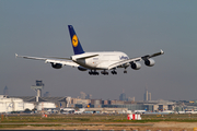 Lufthansa Airbus A380-841 (D-AIMG) at  Frankfurt am Main, Germany