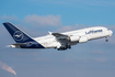 Lufthansa Airbus A380-841 (D-AIMG) at  Munich, Germany