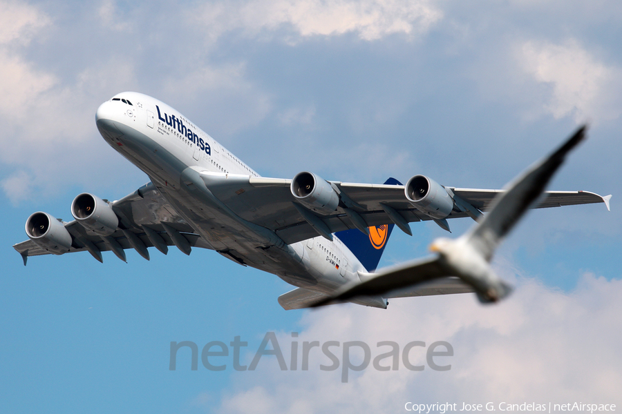 Lufthansa Airbus A380-841 (D-AIMH) | Photo 116401