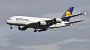 Lufthansa Airbus A380-841 (D-AIML) at  Frankfurt am Main, Germany