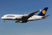 Lufthansa Airbus A380-841 (D-AIML) at  Frankfurt am Main, Germany