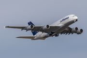 Lufthansa Airbus A380-841 (D-AIMM) at  Frankfurt am Main, Germany