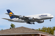 Lufthansa Airbus A380-841 (D-AIMM) at  New York - John F. Kennedy International, United States