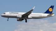 Lufthansa Airbus A320-271N (D-AINB) at  Frankfurt am Main, Germany