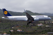 Lufthansa Airbus A320-271N (D-AINE) at  La Palma (Santa Cruz de La Palma), Spain