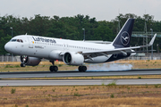 Lufthansa Airbus A320-271N (D-AINL) at  Frankfurt am Main, Germany