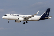 Lufthansa Airbus A320-271N (D-AINN) at  Hamburg - Fuhlsbuettel (Helmut Schmidt), Germany