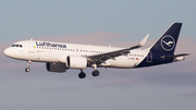 Lufthansa Airbus A320-271N (D-AINO) at  Frankfurt am Main, Germany